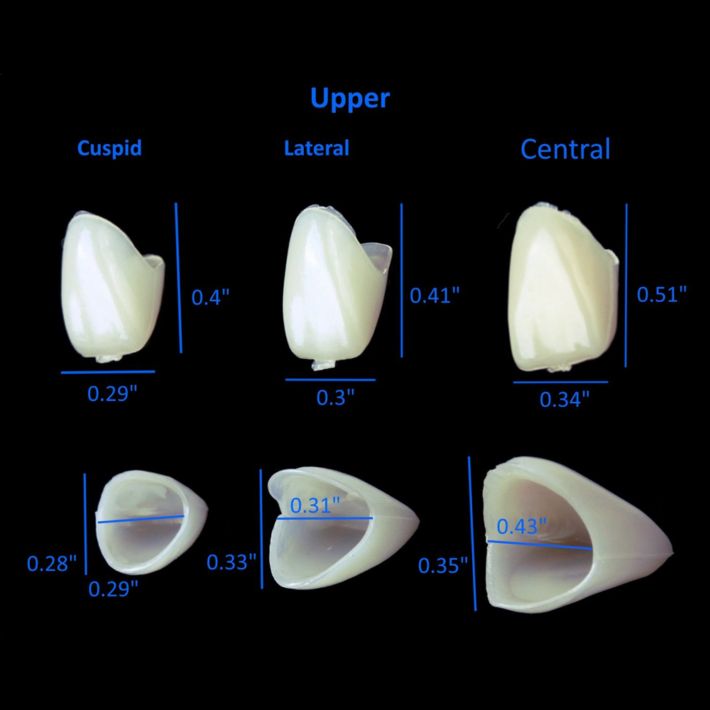 PIORPOY 50/70Pcs Dental Teeth  - Teeth Whitening Uv Kit ulasan dan harga
