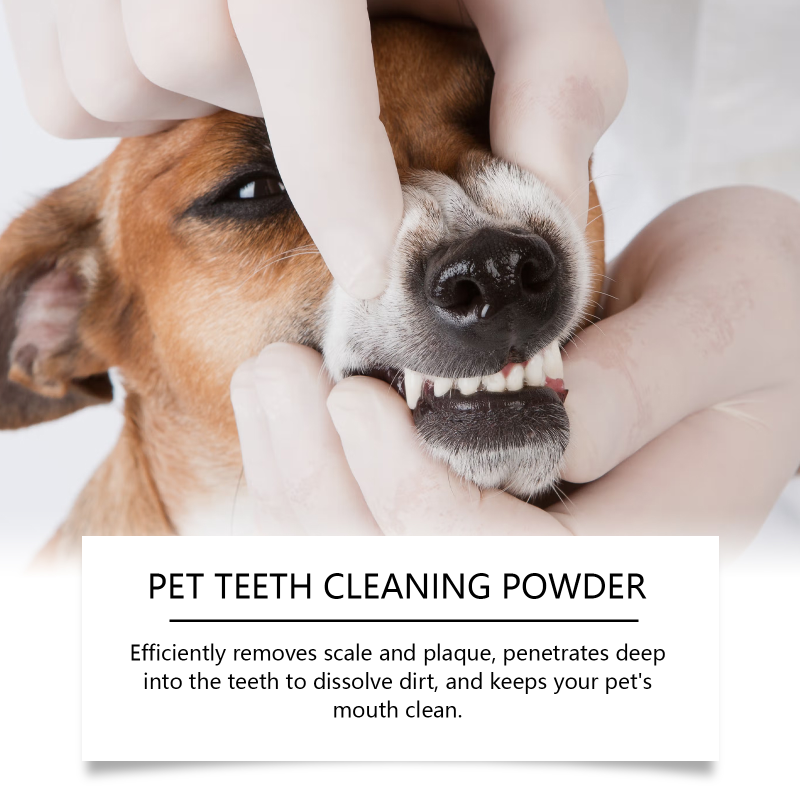 Pet Teeth Cleaning Powder Redu - Teeth Whitening From Home ulasan dan harga